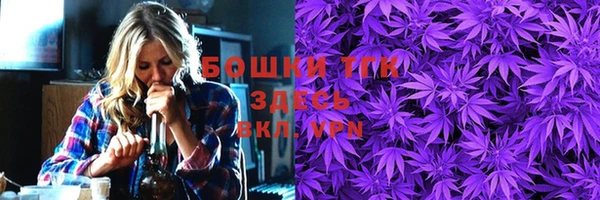 дмт Анива