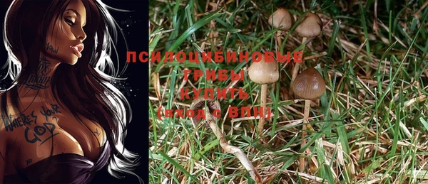 трава Верхний Тагил