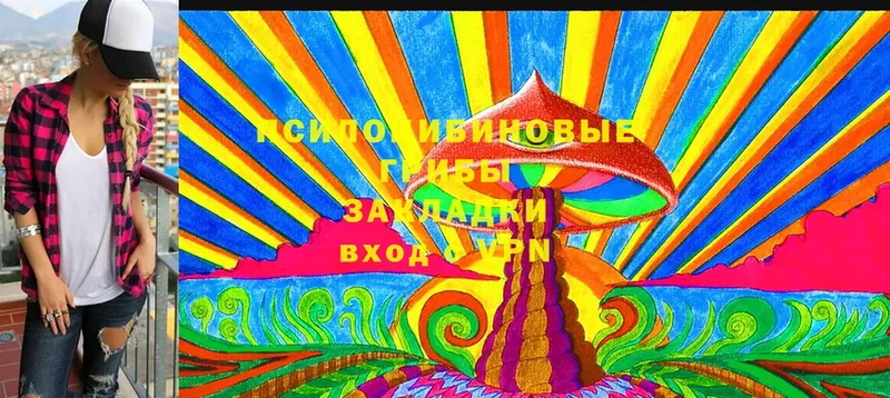 Псилоцибиновые грибы Magic Shrooms  купить наркоту  Выкса 