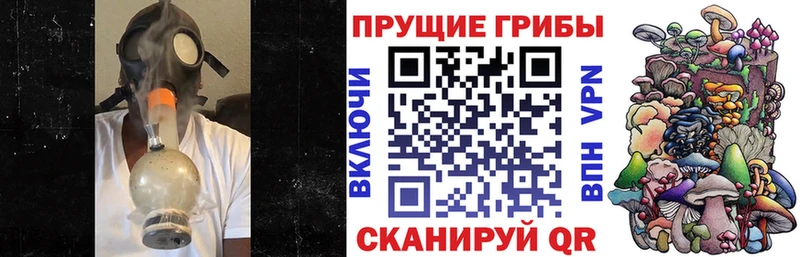 Псилоцибиновые грибы Cubensis  дарнет шоп  мега ONION  Выкса 