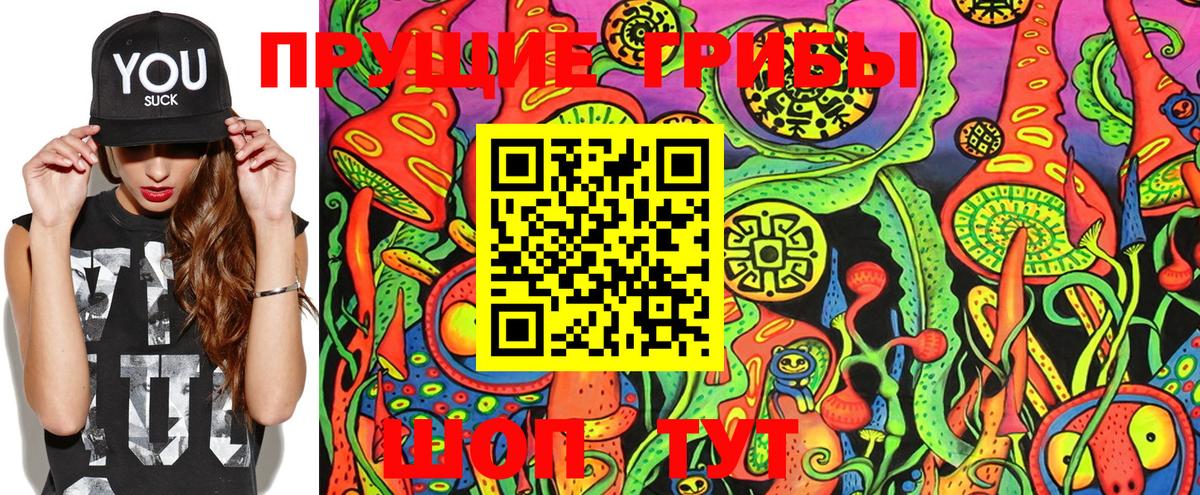 Галлюциногенные грибы Magic Shrooms  Галлюциногенные грибы прущие грибы  купить наркотики цена  Вход с VPN  Выкса 